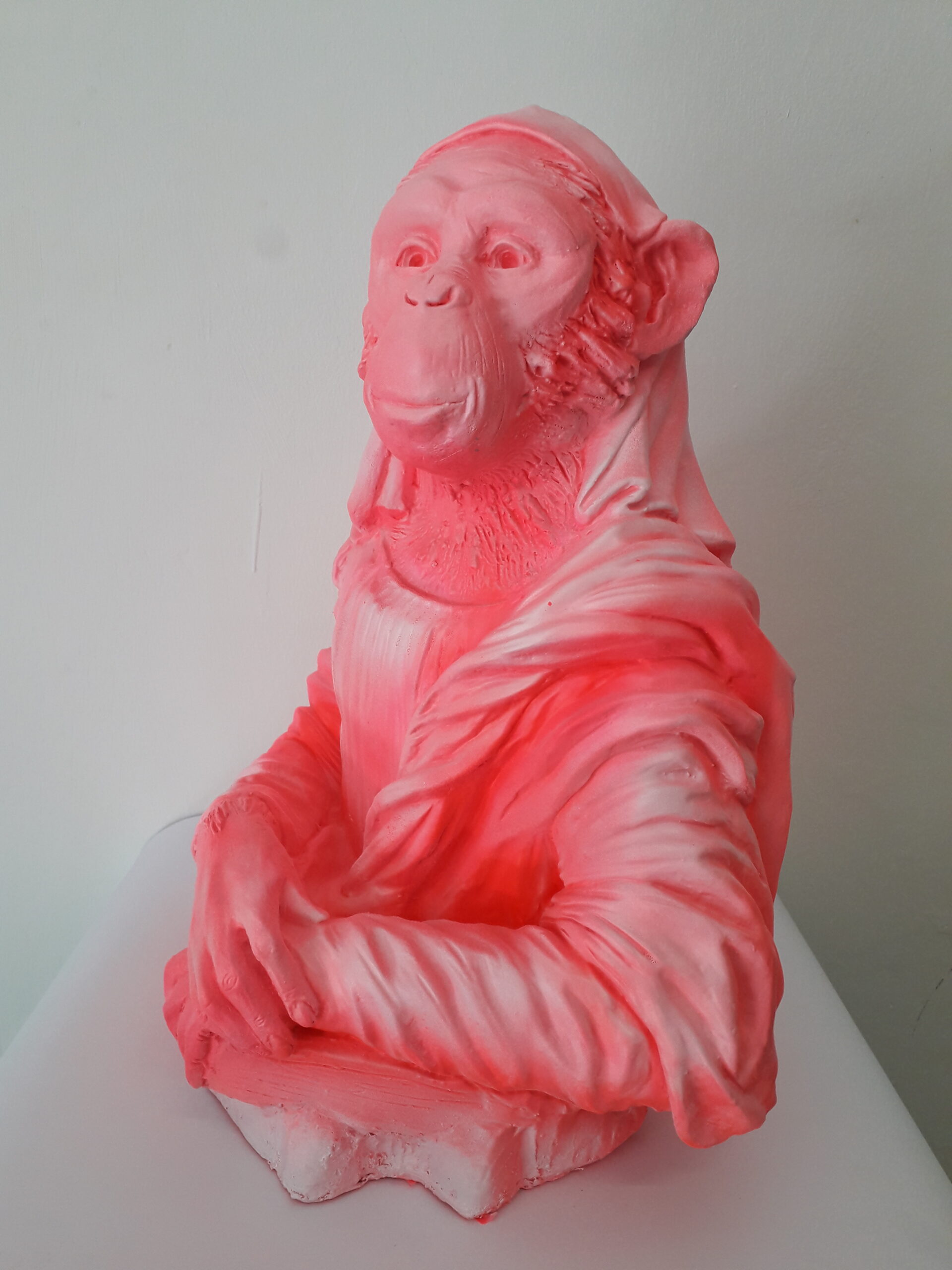 MonkeyLisa-Marinaro-Francesco-2